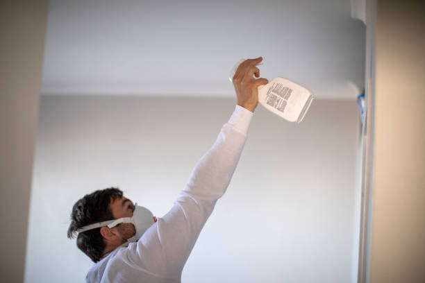 Best Best Mold Removal Companies  in Caddo Mills, TX