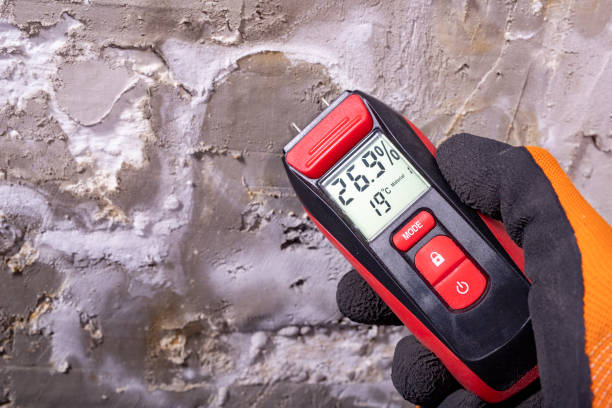 Trusted Caddo Mills, TX Mold Removal Experts